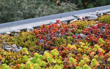 the cost of Angersleigh green roof installation