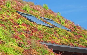 Angersleigh living roof systems