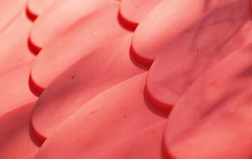 Angersleigh plastic roof costs