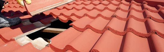 compare Angersleigh roof repair quotes